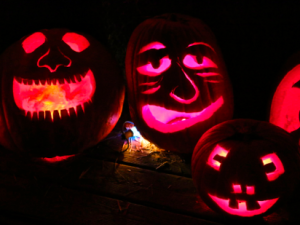 The Pumpkin House
