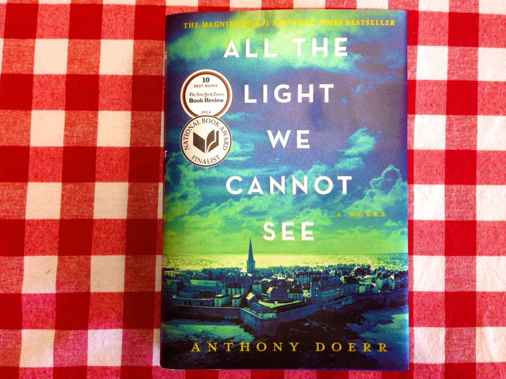 all the light you cannot see book