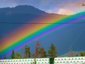 Amazing Rainbow in Jasper