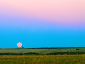 Haiku Across Canada