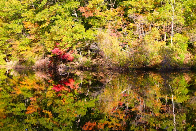 fall reflection photos