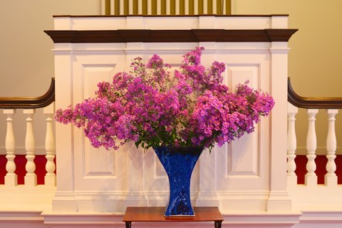photos of purple asters, aster bouquet, photos of church flowers