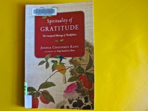 Quotes from Spirituality of Gratitude