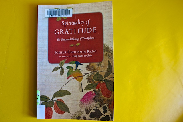 Quotes from Spirituality of Gratitude