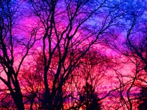 New Poem: Awesome Sunset