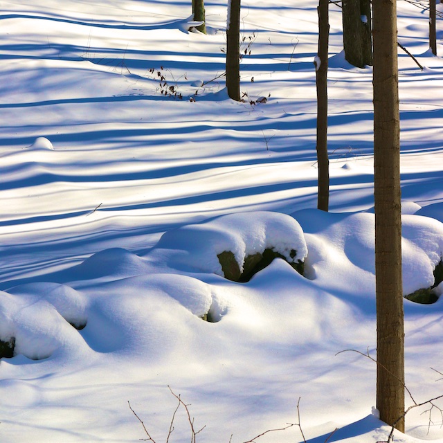 snow photos, Jonas snowstorm photos