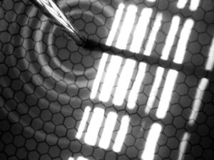 Recent Black and White Photographs