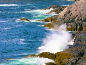 Poem by Sara Teasdale: Barter