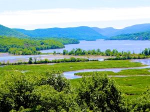 Jim Palmer Quote with Boscobel View