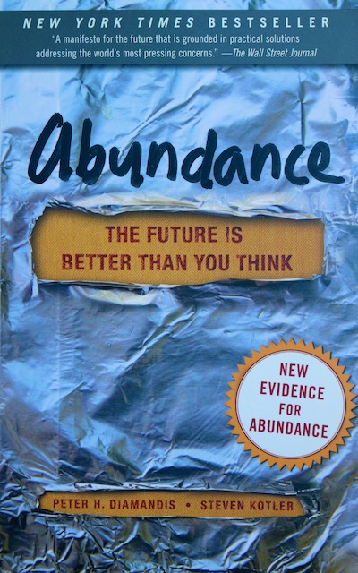 Book Review: Abundance