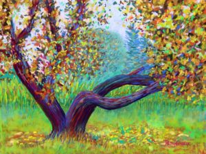 Two Islesford Apple Trees I Painted