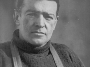 Shackleton Quote