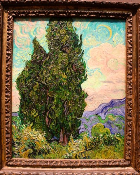 Van Gogh up close, close up photos of van Gogh paintings