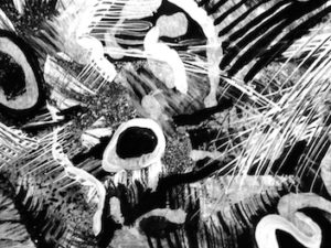 What You are Entitled to