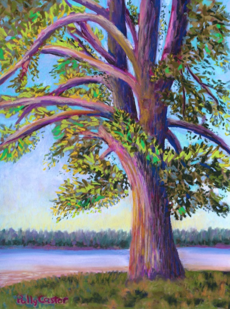 Tree at Camp Newfound (Pastel) by Polly Castor