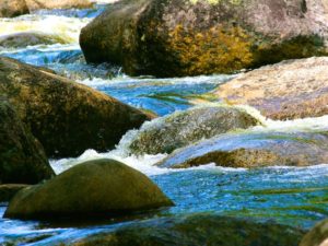 Singing Around Obstacles (Two Poems, Same Brilliant Analogy)