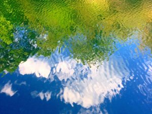 I Missed You! (The Blog is Back)