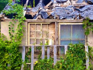 Mend What is Within Reach