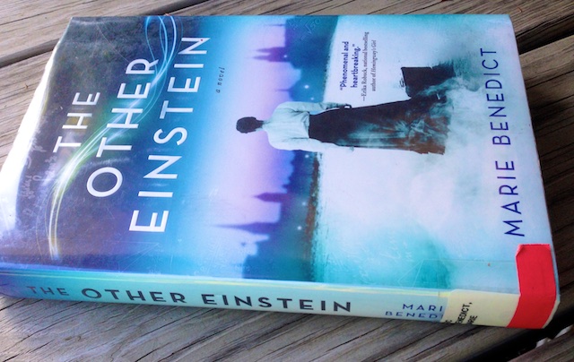 reviews of the other einstein