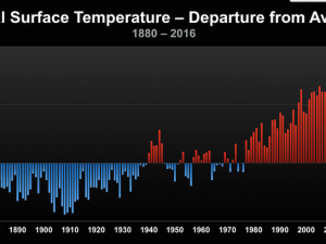 Environmental Data ( Both Bad and Good News)