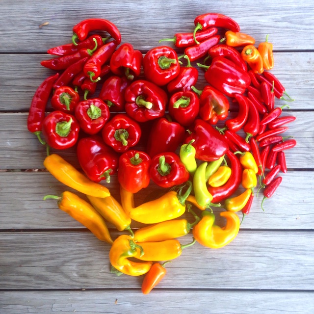 How to Roast Peppers in the Oven