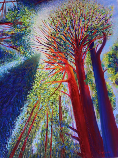 Reaching for the Light (pastel) by Polly Castor