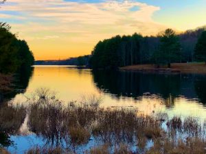 We Have Just One Moral Duty