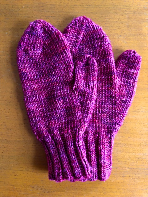 I Knit My First Pair of Mittens