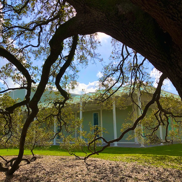 Houston's Menil Museum