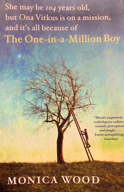 The One in a Million Boy (Book Review)