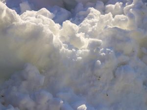 Needing Spring (New Poem by Polly Castor)