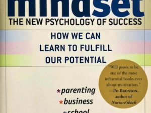 Mindset (Book Review)