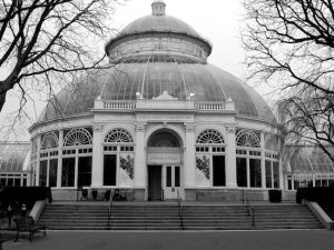 Photographs from the New York Botanical Garden Greenhouse
