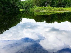 Quotes About the Unreality of Matter