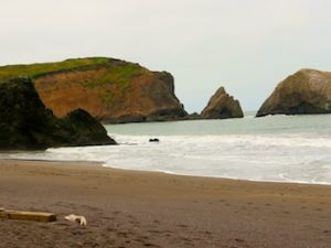 Rodeo Beach, California (Photos)