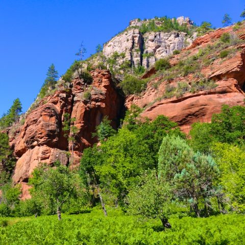 Photos from my Hike In Sedona (Six Miles in 100ºF Heat)