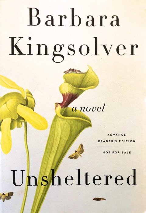 Unsheltered (Book Review)
