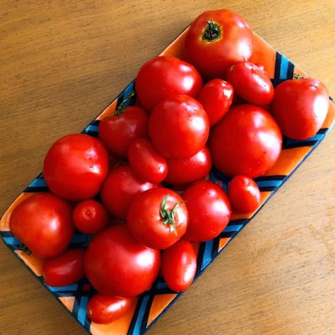 Ideas for Processing Fresh Tomatoes