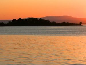 Let Evening Come (Poem by Jane Kenyon)