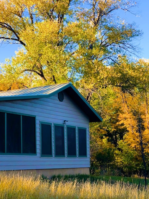 Photos from Elaine and Dale's Cabin in Texas