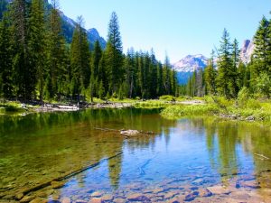 Good News: Bipartisan Support for Public Lands