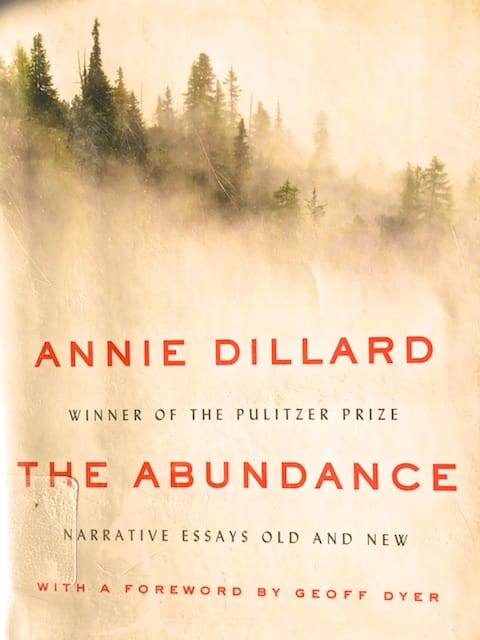 The Abundance (Book Review)