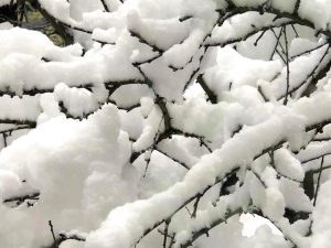 This Too Will Melt (New Poem with Snow Photos)