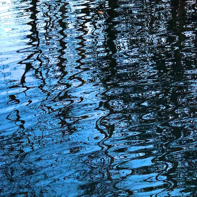 Spring Water Reflection Photos 2019 Part 1 | Polly Castor