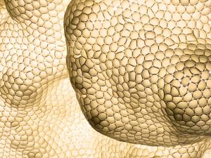 For God is All-in-All (poem by Ethel Margaret Soden)