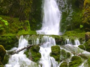 Day 4: Hike to Dickson Falls, New Brunswick (Photos)