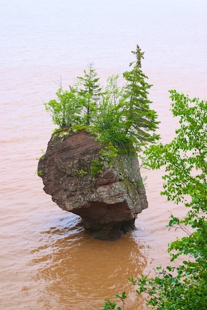 450+ Hopewell Rocks Beach Stock Photos, Pictures & Royalty-Free