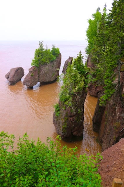 450+ Hopewell Rocks Beach Stock Photos, Pictures & Royalty-Free