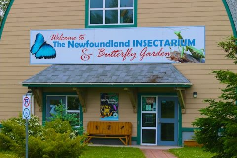 Insectarium and butterfly garden