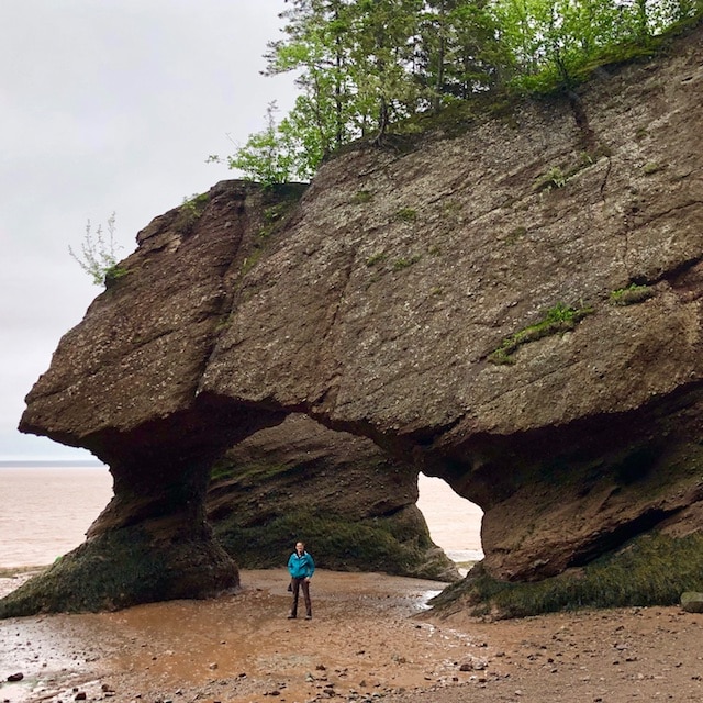 450+ Hopewell Rocks Beach Stock Photos, Pictures & Royalty-Free